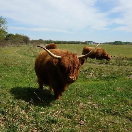 Vakantiehuis Sandy Bum Beach House Egmond aan Zee